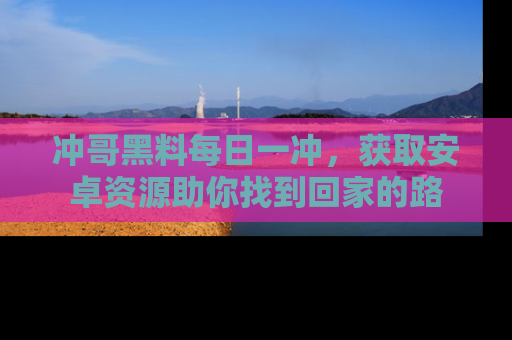 冲哥黑料每日一冲，获取安卓资源助你找到回家的路