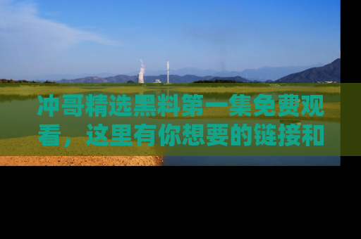 冲哥精选黑料第一集免费观看，这里有你想要的链接和内幕！