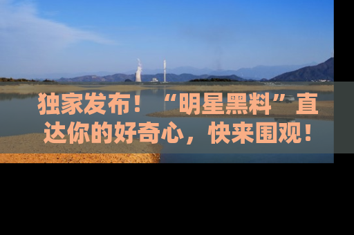 独家发布！“明星黑料”直达你的好奇心，快来围观！