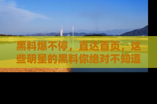 黑料爆不停，直达首页，这些明星的黑料你绝对不知道！