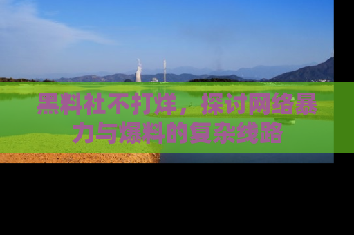 黑料社不打烊，探讨网络暴力与爆料的复杂线路