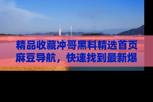 精品收藏冲哥黑料精选首页麻豆导航,快速找到最新爆料