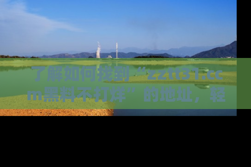 了解如何找到“zztt31.ccm黑料不打烊”的地址,轻松获取最热娱乐八卦与黑料
