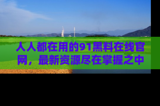 人人都在用的91黑料在线官网，最新资源尽在掌握之中
