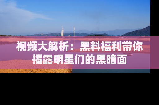 视频大解析：黑料福利带你揭露明星们的黑暗面