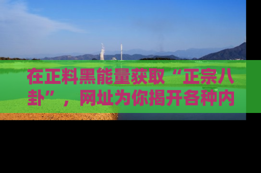 在正料黑能量获取“正宗八卦”,网址为你揭开各种内幕故事!