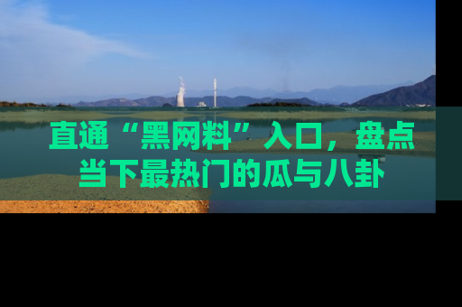 直通“黑网料”入口,盘点当下最热门的瓜与八卦