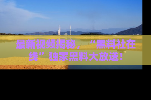 最新视频揭秘,“黑料社在线”独家黑料大放送!